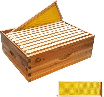 Langstroth Beehive Starter Kit - 10-Frame Pre-Coated with Natural Beeswax, Weatherproof Cedar Wood Hive with Dovetail