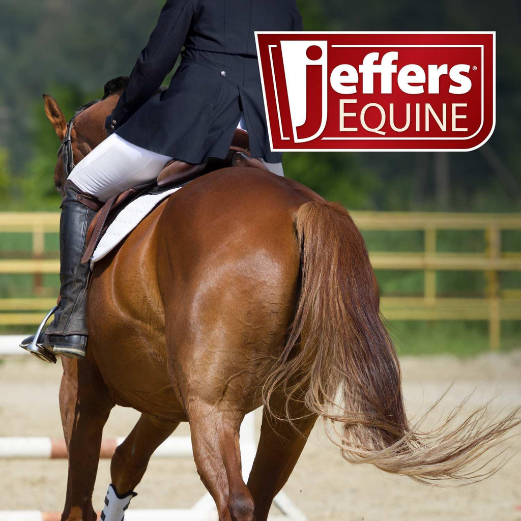 English Horse Saddle Cover – Nylon Saddle Bag for English Saddles, Lightweight Stable Storage, Dust Protection