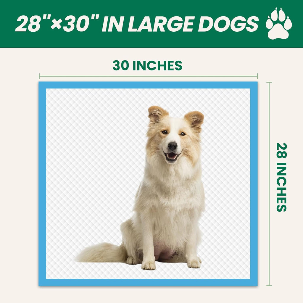 100 Count Large Dog & Cat Puppy Pee Pads - 28"x30" Absorbent Potty Training Pads | Leakproof Quick-Dry Disposable Pet