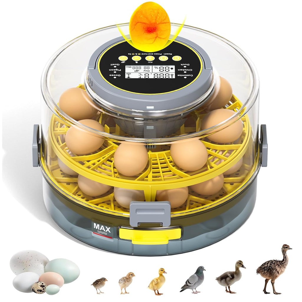 Egg Incubator for Hatching Eggs – 20-Egg Capacity with Automatic Egg Turner, Temperature & Humidity Control, LED Egg