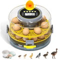 Egg Incubator for Hatching Eggs – 20-Egg Capacity with Automatic Egg Turner, Temperature & Humidity Control, LED Egg
