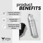 Professional Volume Dry Shampoo | Oil Absorbing Spray | All Hair Types | 5 oz (2-Pack)