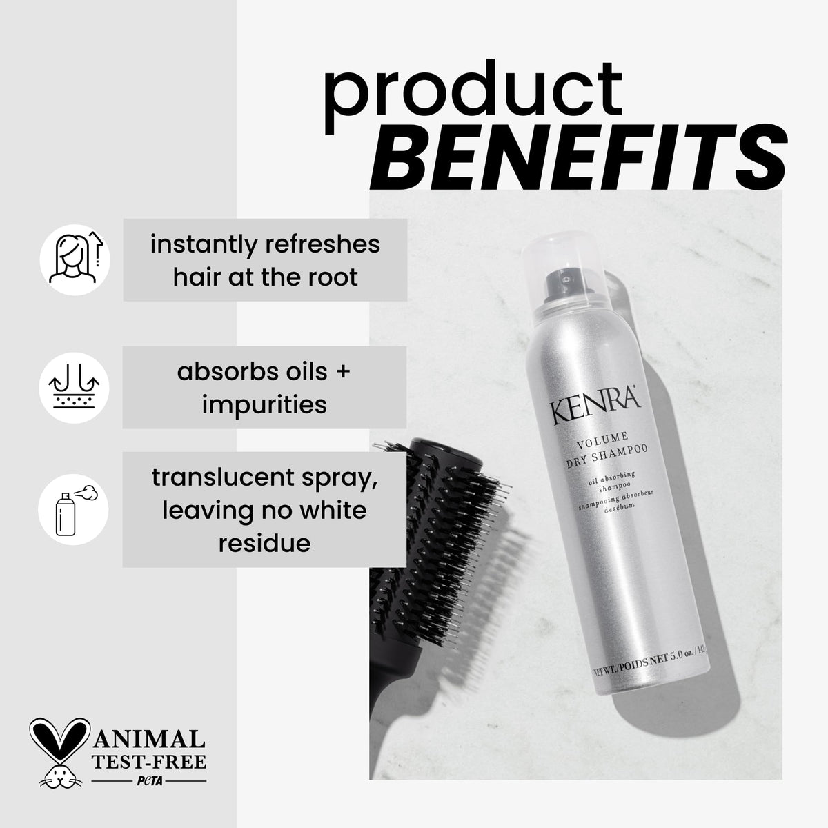 Professional Volume Dry Shampoo | Oil Absorbing Spray | All Hair Types | 5 oz (2-Pack)