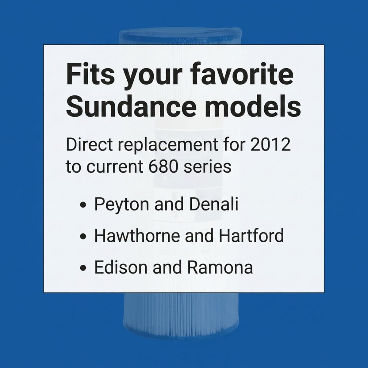 Sundance Spas 50ft Filter (373045S)