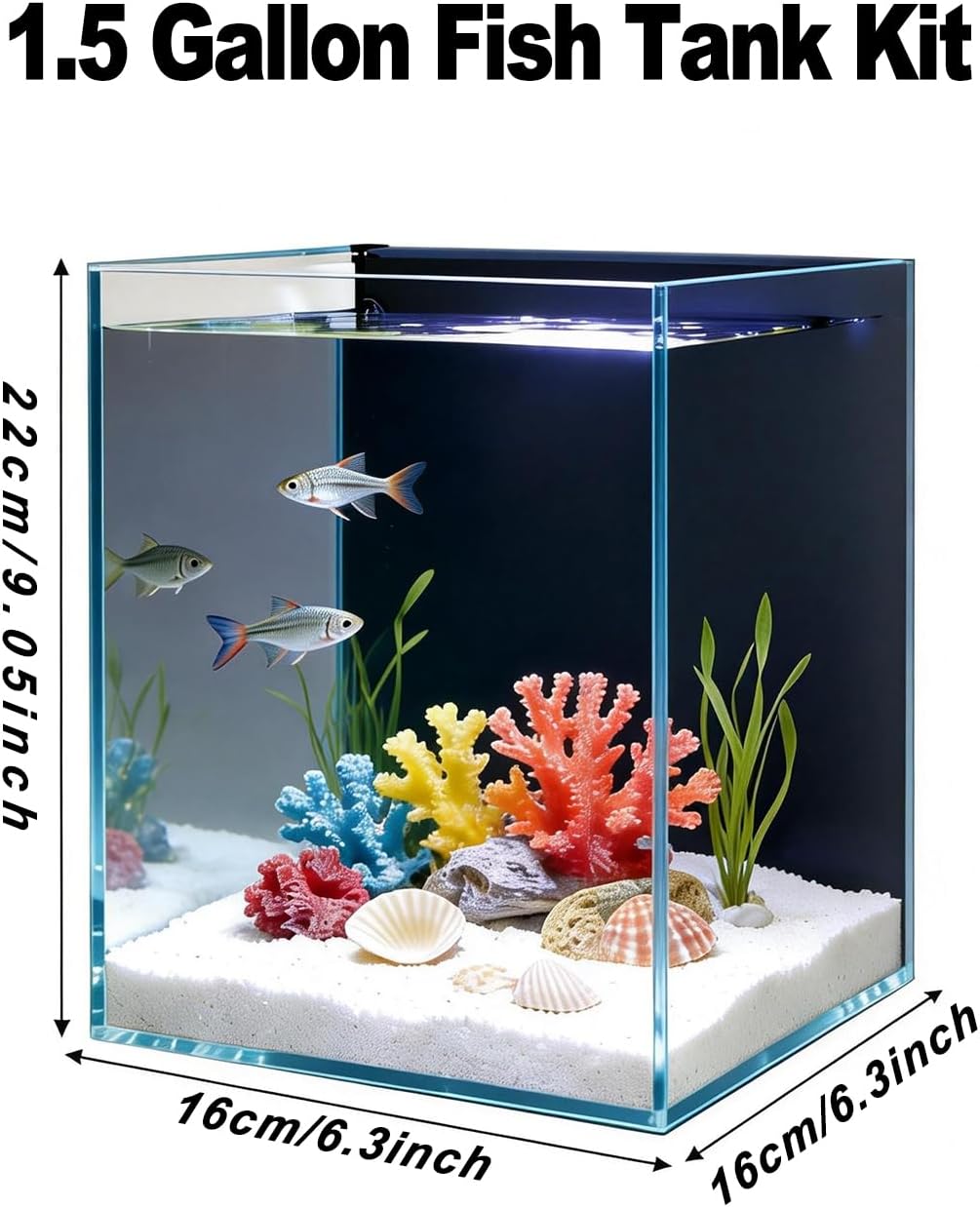 Betta Fish Tank kit,Small Nano Glass Fish Tank Start Kit with Filter,LED Light for Shrimp,Small Fish,Betta (1.5 Gallon)