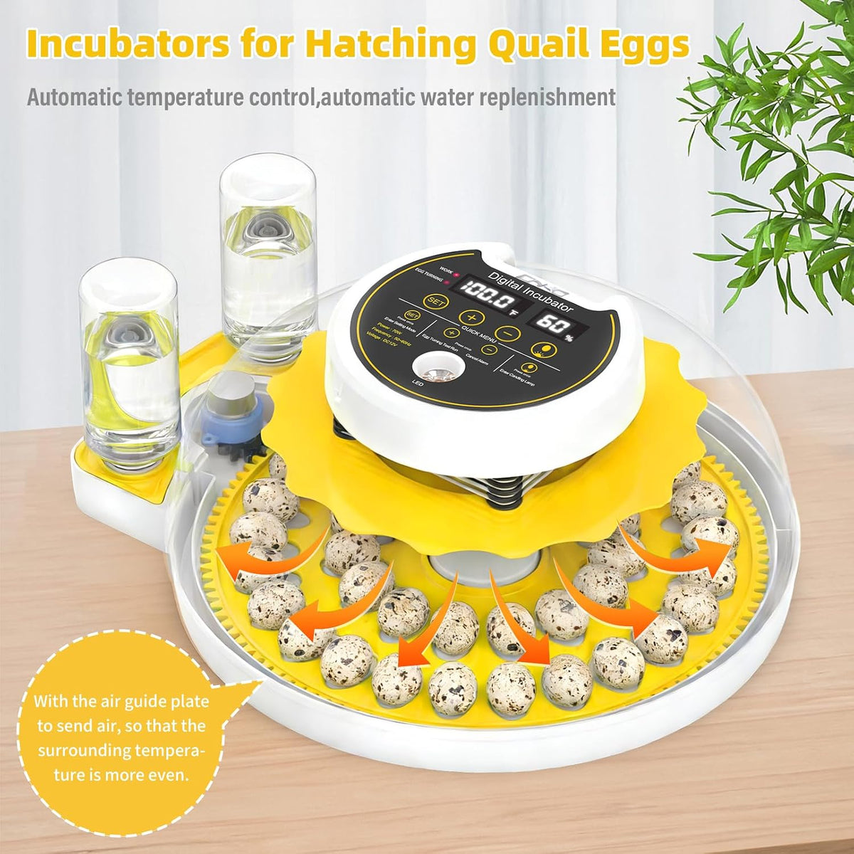 Quail Egg Incubator for Hatching 40 Quail Eggs with Automatic Turner