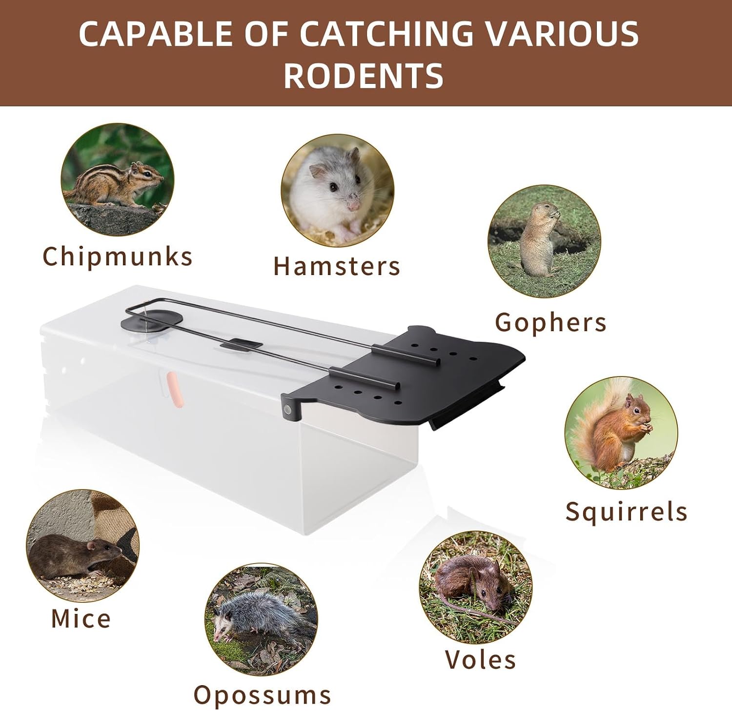 Humane Rat Trap - 2025 Mouse Traps Humane Live, Easy to Catch & Release Rats & Mice, Live Rat Traps for Indoor &