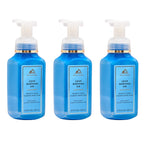 Foaming Hand Soap, Crisp Morning Air, 3 Pack