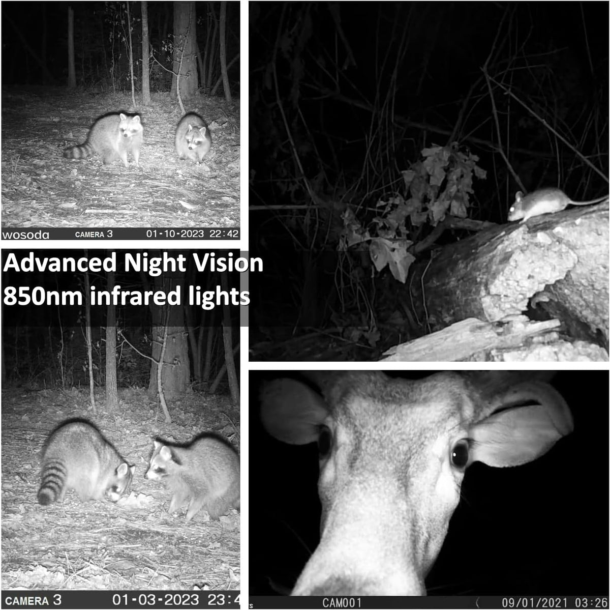 2 Pack Trail Cameras with Night Vision Motion Activated Waterproof,48MP Hunting Game Camera,1080P HD Trail Cam for