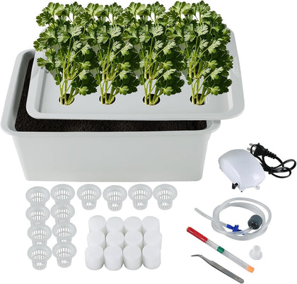 Indoor Hydroponic Grow Kit 12 Sites Deep Water Culture System | Hydroponic Garden Kit with Air Pump, Bubble Stone &