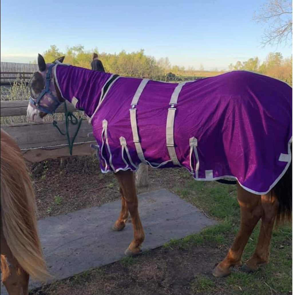 Heavy Duty Horse Fly Sheet with Neck and Detachable Belly Band | Summer Sheet (78, Purple)