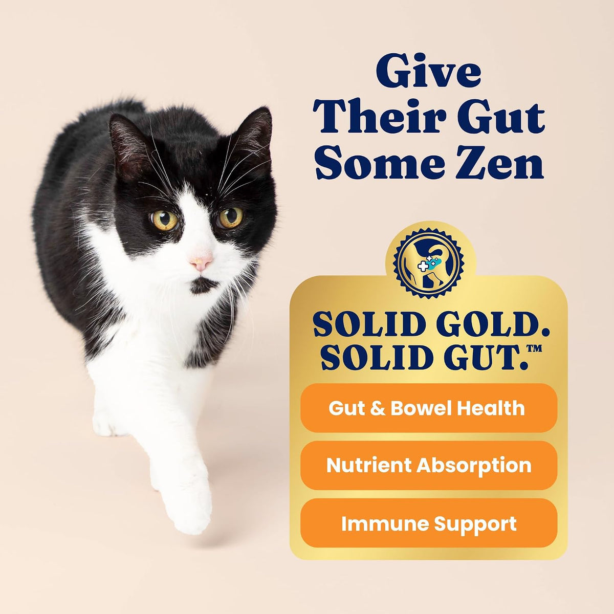 High Protein Chicken Dry Cat Food, for Cats & Kittens 3lb