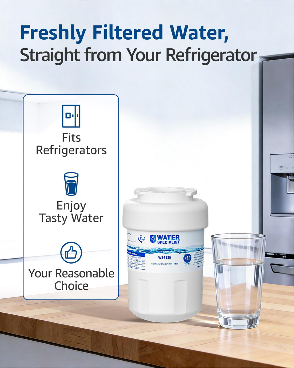 WS613B Water Filter, Replacement for GE MWF, 3 Pack