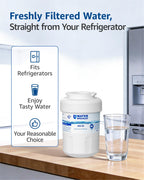 WS613B Water Filter, Replacement for GE MWF, 3 Pack