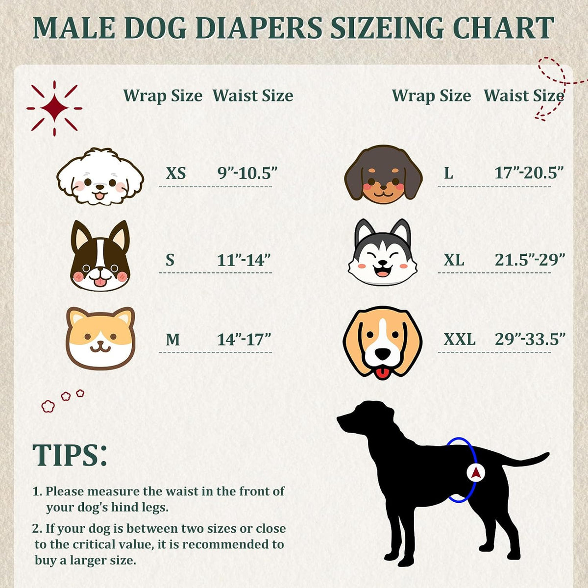 Reusable Dog Diapers Male, Premium Washable Belly Bands for Dogs Extra Small, Pack of 5, High Absorbing Dog Wraps for
