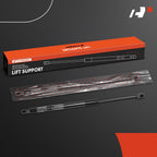 A-Premium Rear Hatch Lift Supports Shock Struts Compatible with Ford