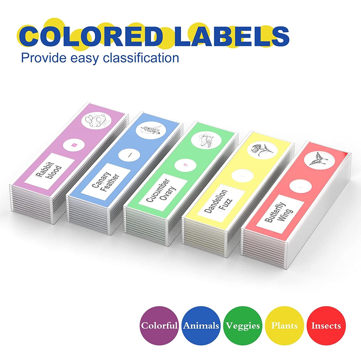 60Pcs Prepared Microscope Slides Specimen Set for Stereo Microscope | Safe Plastic Biological Samples of Animals
