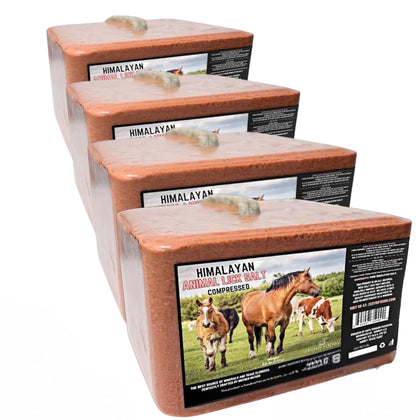 Himalayan Pink Salt Lick Blocks, 11.2 lb 4-Pack, Compressed Natural Mineral Salt for Horses, Cattle, Goats, Deer