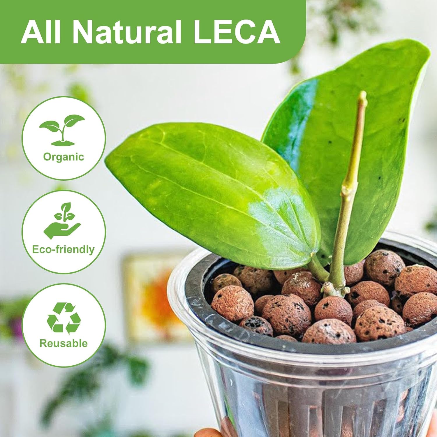 10 lbs LECA Clay Pebbles for Plants, 4-16mm LECA Balls for Indoor Plants Drainage, Hydroponics, Aquaponics, Natural