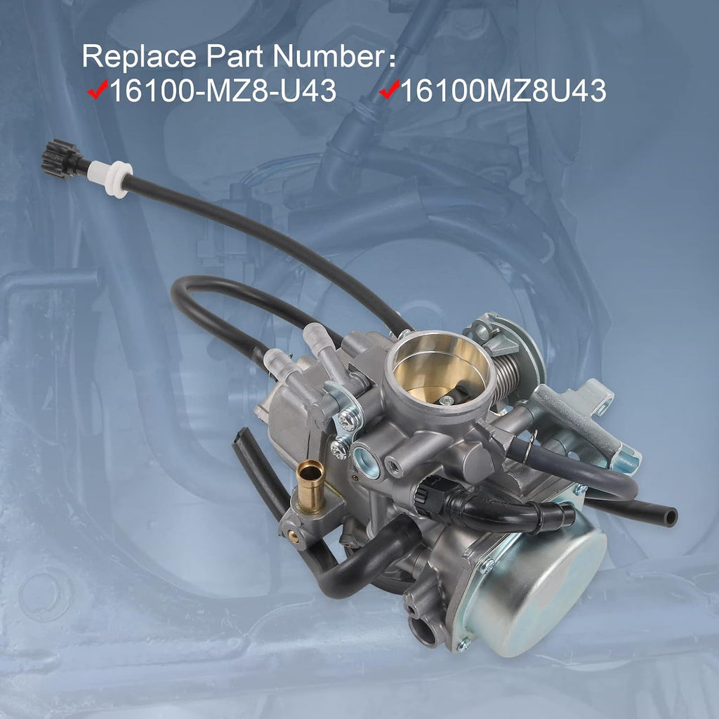 Carburetor & Fuel Filter Compatible with Honda Shadow 1999-2007