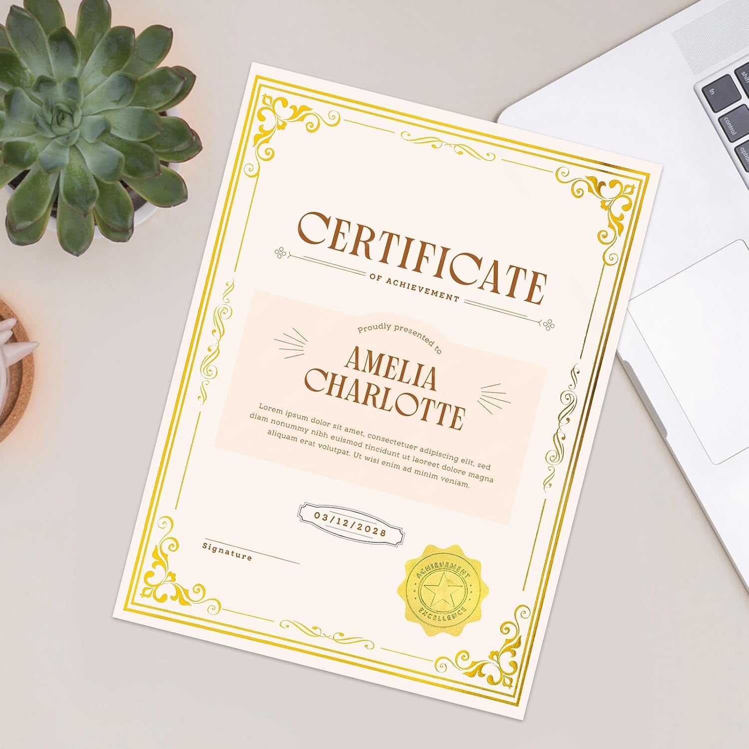100 Sheets Certificate Paper with 100 Pcs Gold Seal Stickers, 8.5 × 11'' Printable Award Certificates for Graduation