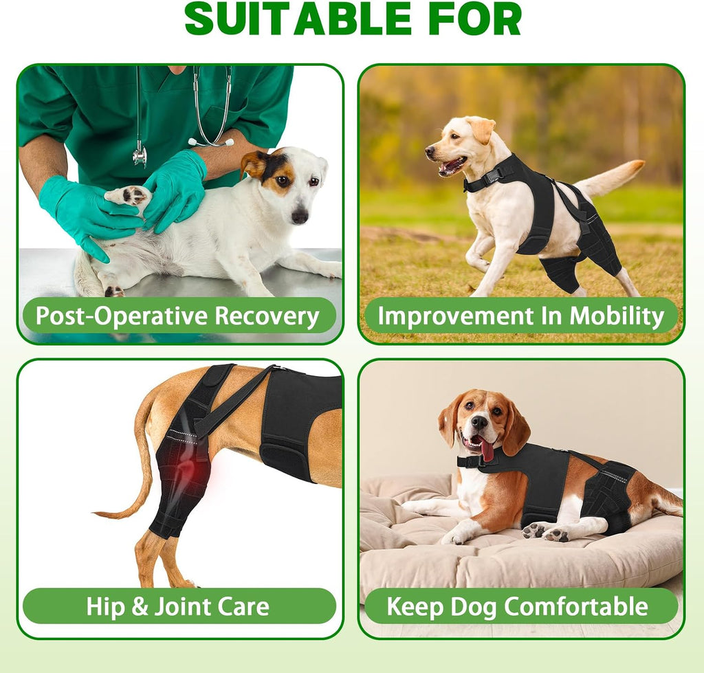 Dog Leg Braces for Back Leg, Adjustable Dog Knee Brace with 4 Stabilizers, Hip Support to Reduces Pain, Ligament