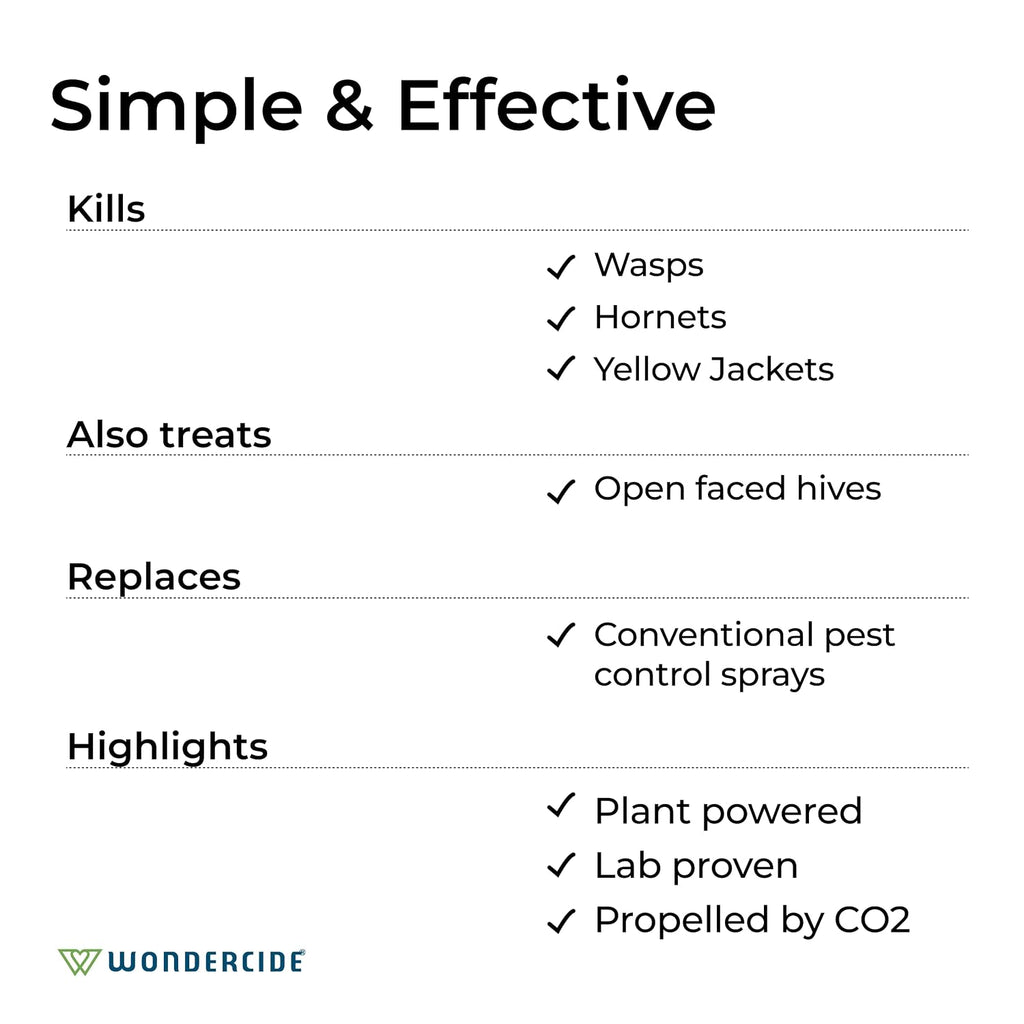 Wasp and Hornet Killer Aerosol Spray - 10 oz - 2 Pack | Kills Wasps, Hornets & Yellow Jackets - With Natural