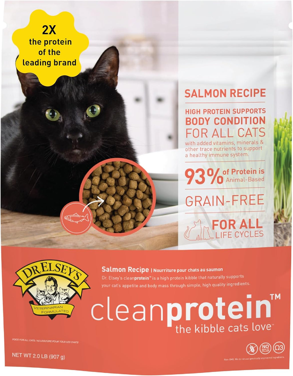 Cleanprotein Salmon Formula Dry Cat Food, 2 Pound (Pack of 1)
