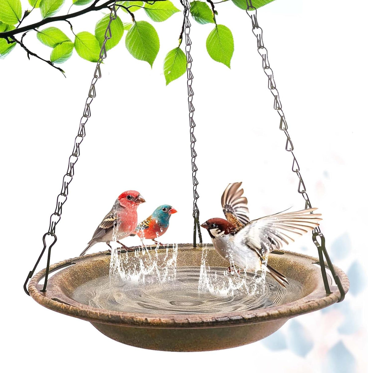 Hanging Bird Bath & Feeder Bowl, 12 in, Antique Bronze Look