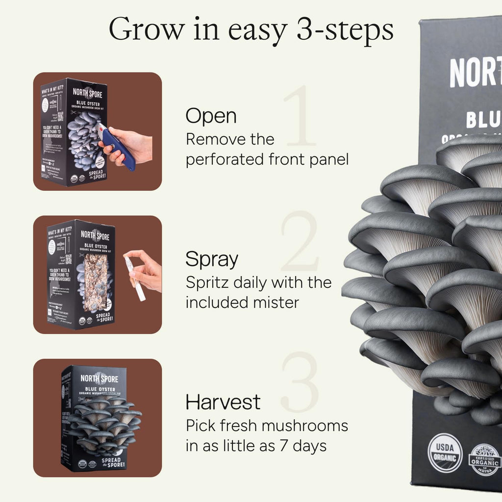 Organic Blue Oyster Mushroom Grow Kit, 4 lbs