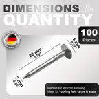 Roofing Nails, 0.79 in (20mm), Galvanized, 100 Pack