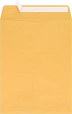 Clean Seal(TM) Catalog Envelopes, 9in. x 12in., 20% Recycled, Brown, Pack Of 100, 77922