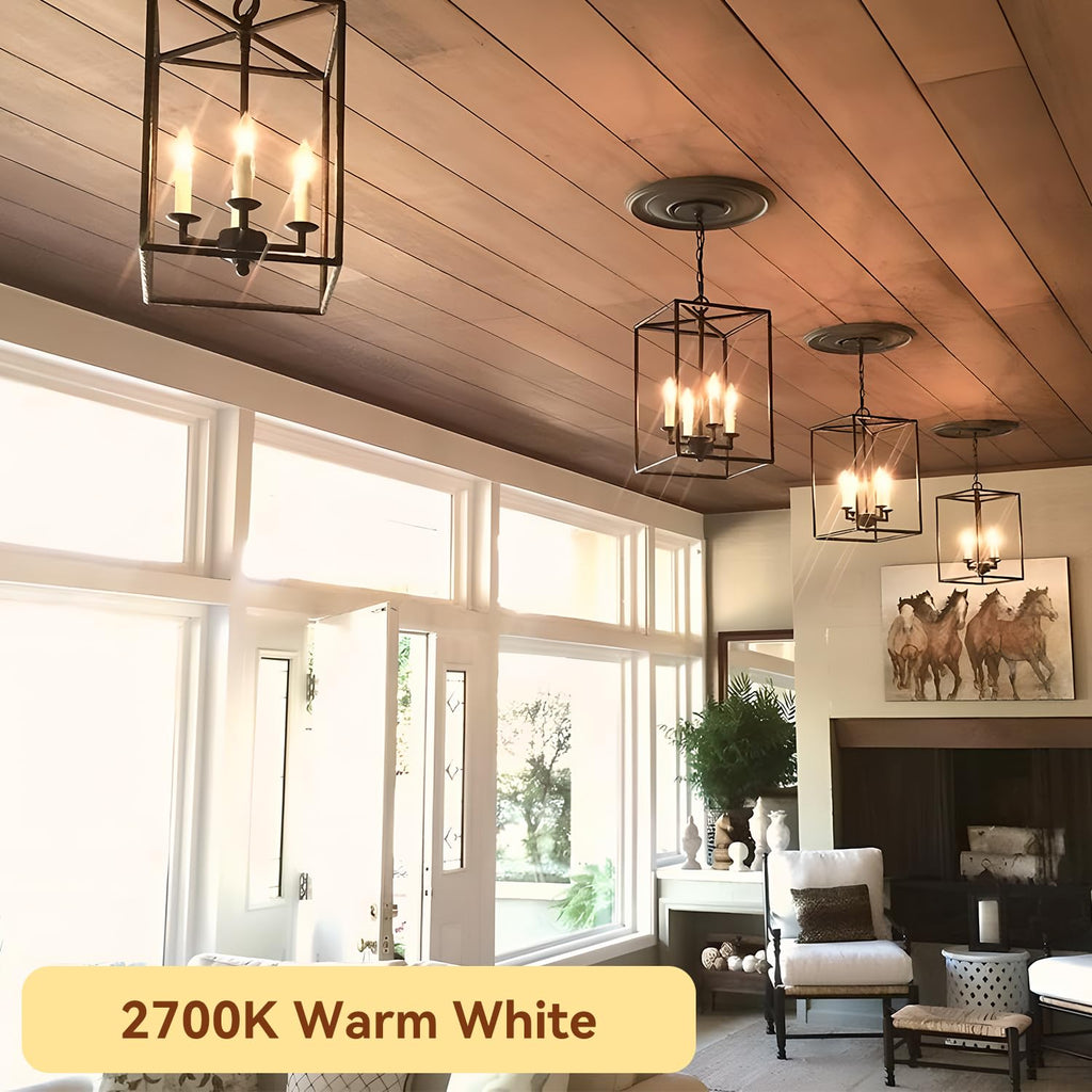 Candelabra LED Bulbs, E12 60W Equivalent Dimmable for Chandelier Light