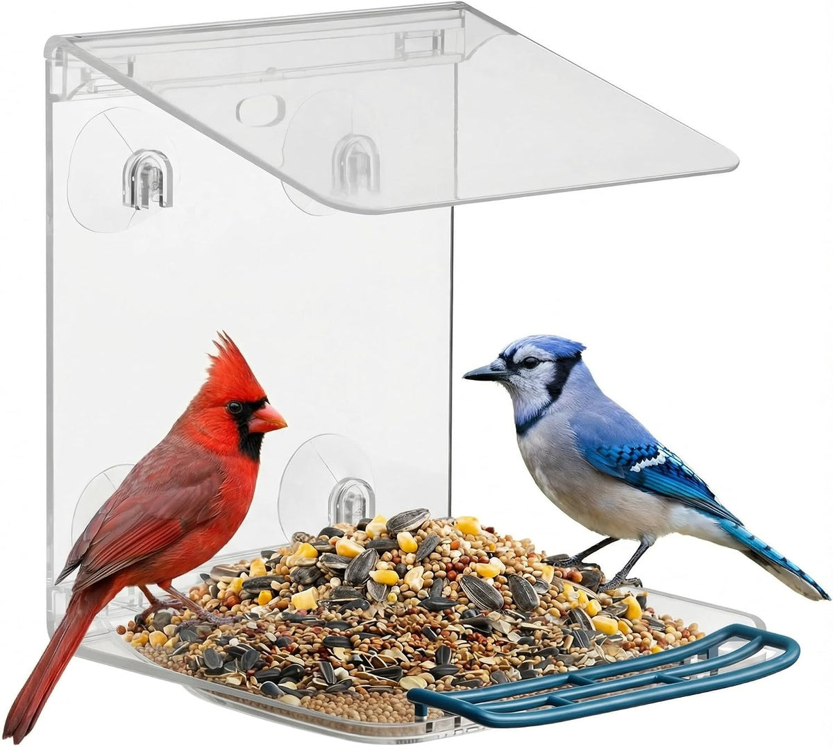 Window Bird Feeder for Outdoors with Strong Suction Cups,Sturdy and Durable Acrylic Birdfeeders for Viewing Wild