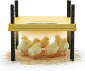 Heating Plate for Chick Brooder Adjustable 75W Chicken Heat Plate 10 x 10 Inch Warmer Brooder Heater for 10-12 Chicks