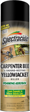 Carpenter Bee & Gound-Nesting Yellowjacket Killer, 16 Oz | Foaming Aerosol Kills on Contact, Expands To Where Insects