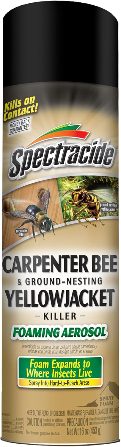 Carpenter Bee & Gound-Nesting Yellowjacket Killer, 16 Oz | Foaming Aerosol Kills on Contact, Expands To Where Insects