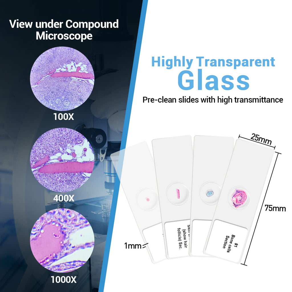100 Prepared Microscope Slides Specimens, Kids Students STEM Science | Animal Plant Insect Specimens, Labels Round