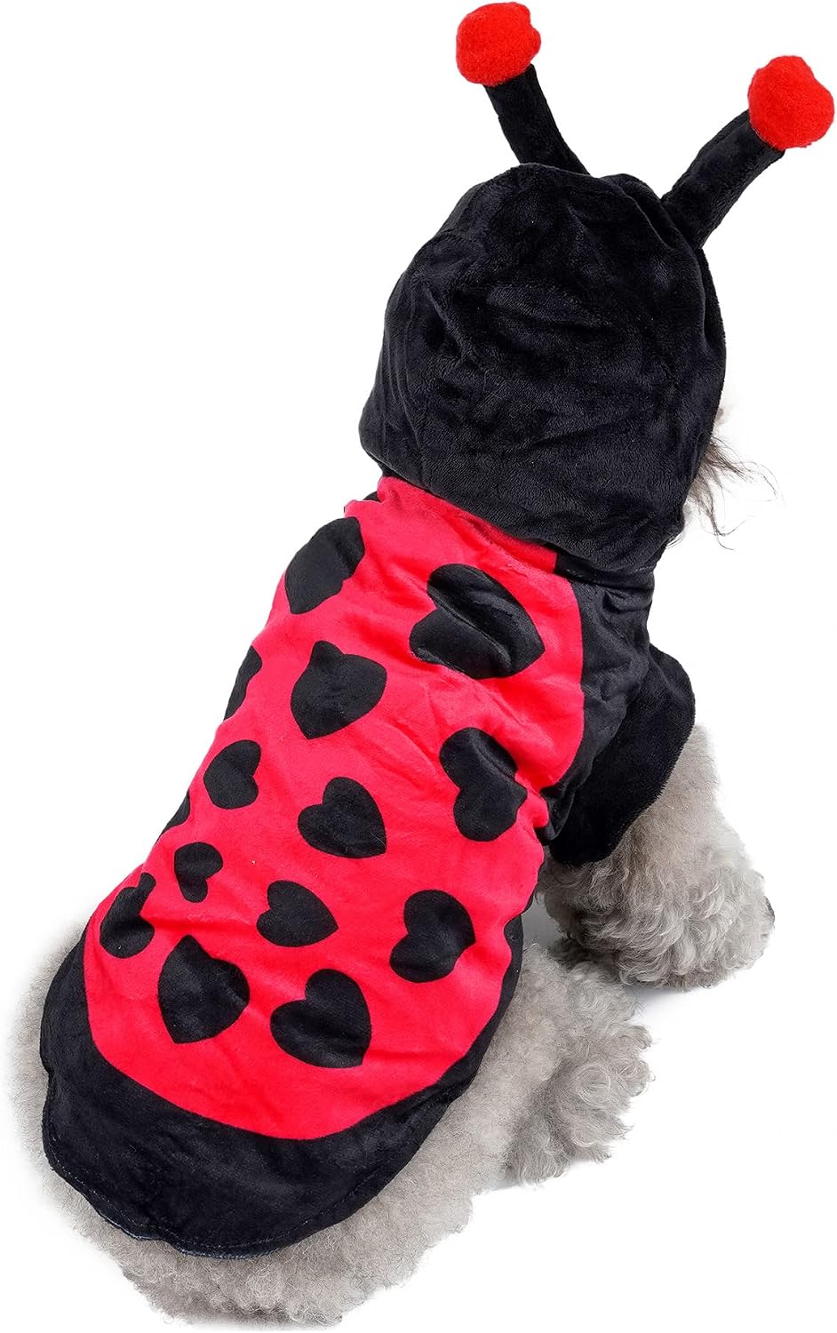 Ladybug Dog Cat Costume for Halloween, Small