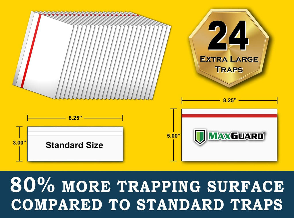 Window Fly Traps (24 XL Traps) Catch & Kill Houseflies, Flying Insects & Bugs. Non-Toxic Sticky Glue Traps Fly Killer