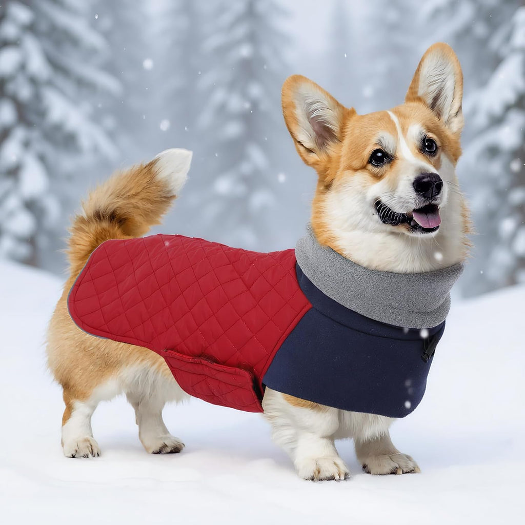 Corgi Sweater for Dogs Corgi Clothes,Miniature Corgi Coat,Corgi Jacket for Dogs Warm Waterproof Windproof,High
