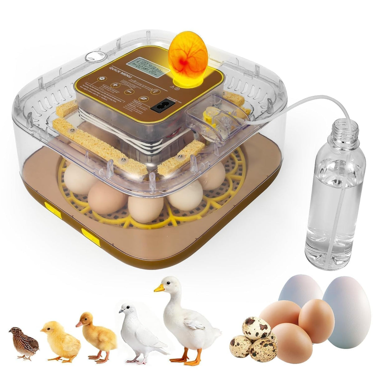 Gen IV - 12 Egg Fully Automatic Incubator, 2026 Upgraded Design, Intelligent Sensor-Based Humidity & Temp Control