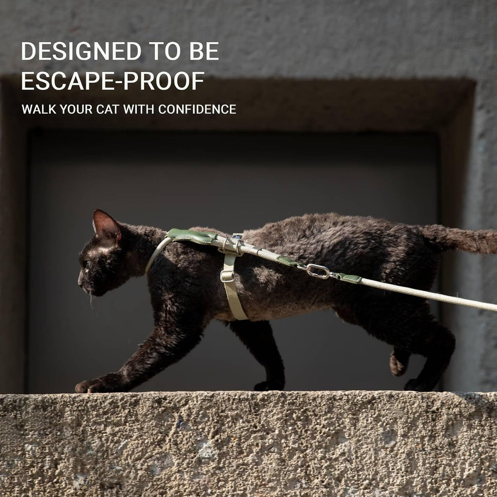 Adjustable Escape Proof Cat Harness and Leash Set