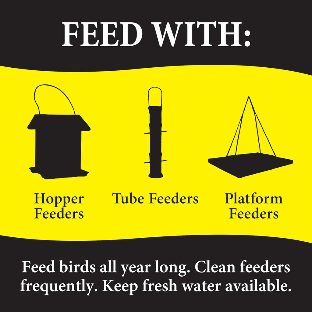 Bugs N Berries Bird Seeds for Outside Wild Birds, 4.5 Lbs | Three-bug blend with dried mealworms, raisins