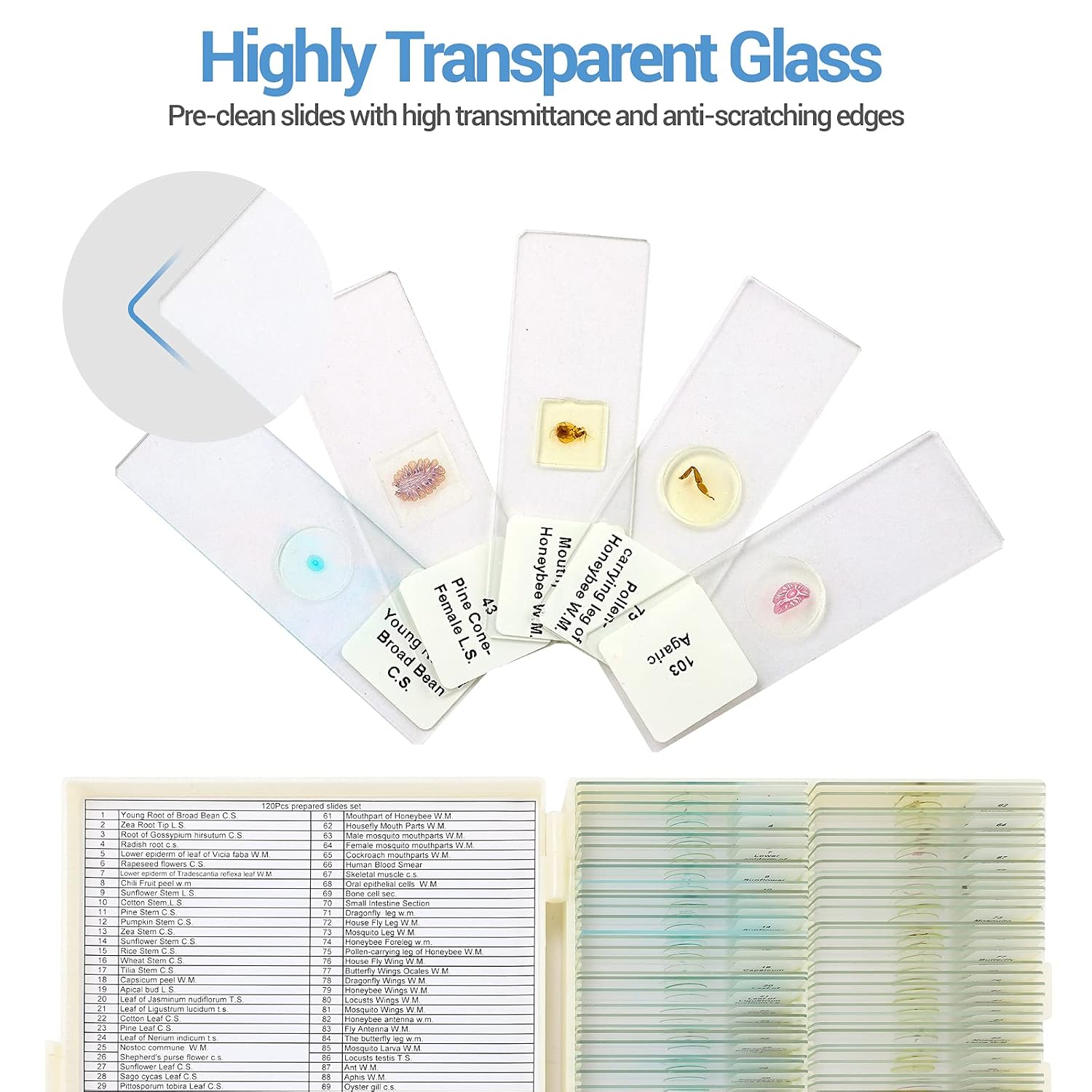 120 Microscope Slides with Specimens for Kids: Prepared Slides for Science | Prepared Microscope Glass Slides Kit for
