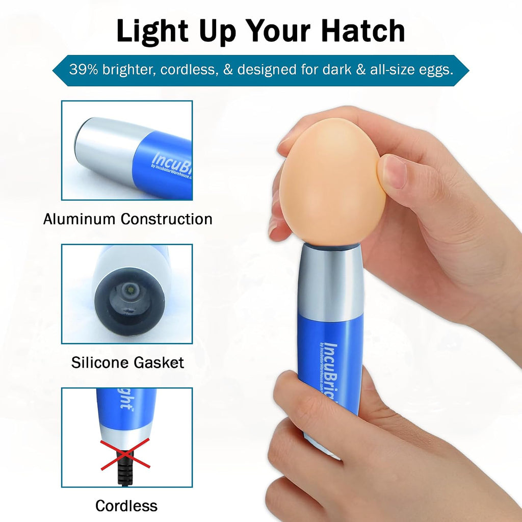 Incu-Bright Ultra Bright LED Egg Candler - Portable Light for All Egg Size