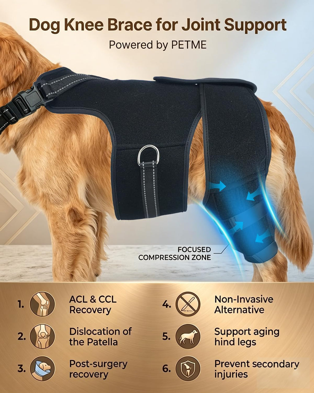 2-in-1 Dog Knee Brace and Lift Harness, Adjustable Back Leg Support with Stabilizers for ACL Recovery & Joint Care