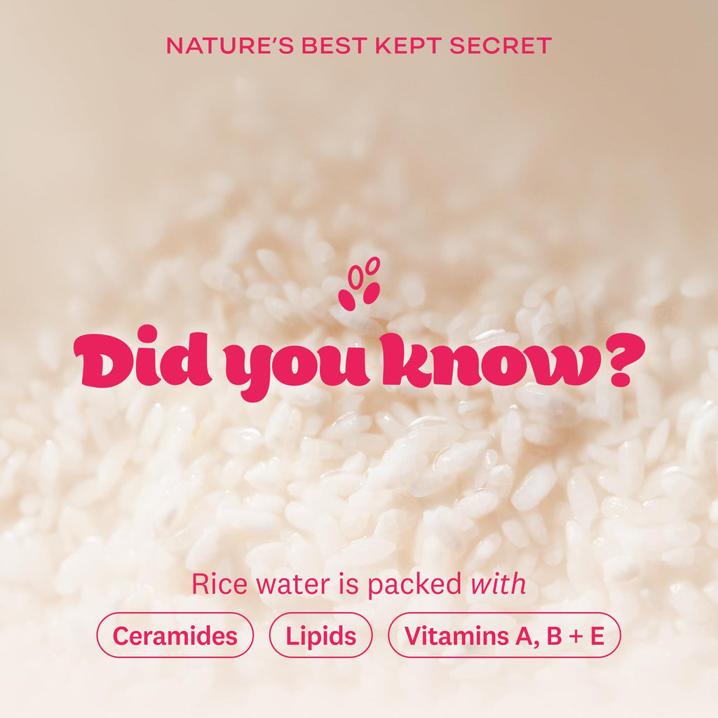 Rice Water Bright Foaming Cleanser, Face Wash, 10.1 fl. oz.