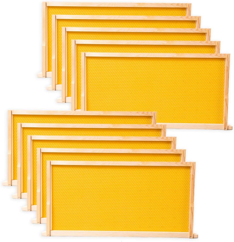 10 Pack Beehive Frames and Wax Foundations for Deep Brood Bee Hives with Honeycombs Wooden Bee Hive Frames and