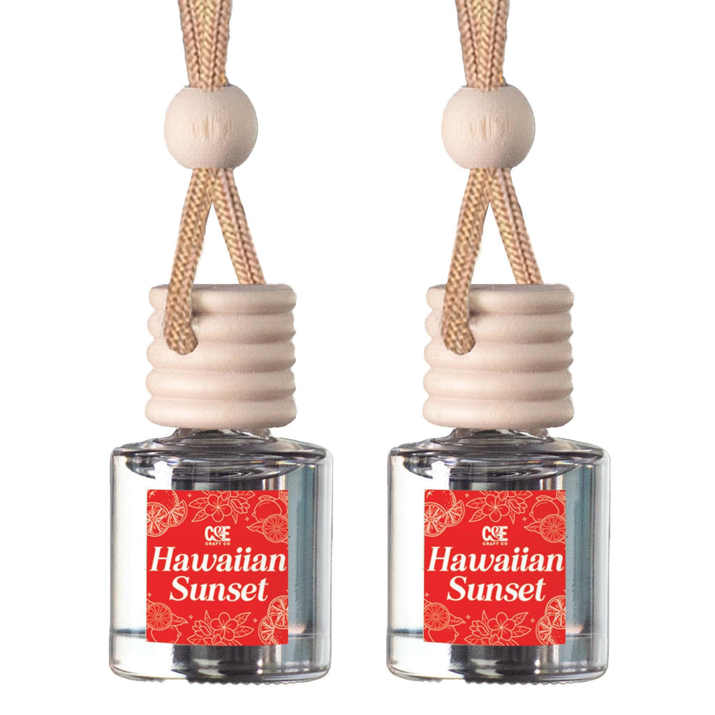 CANDECraftCo 2 Pack Hanging Car Air Freshener Diffuser for Essential Oils